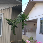 Reforma-Casa-de-Madeira-Chopinzinho-Paraná